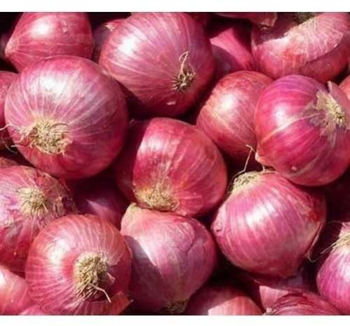 fresh red onion