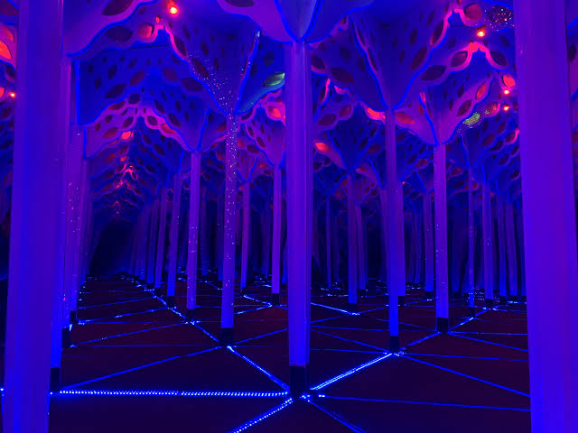 Mirror Maze