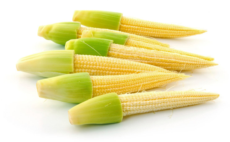 Fresh Baby Corns