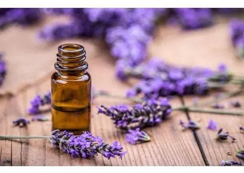 Lavender Essential Oil