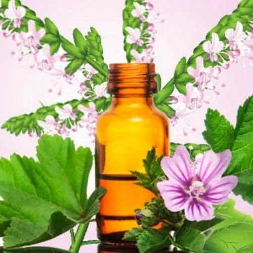 Patchouli Oil