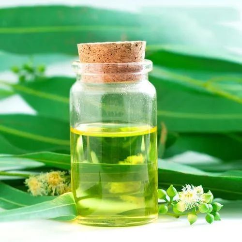 Pure Eucalyptus Oil