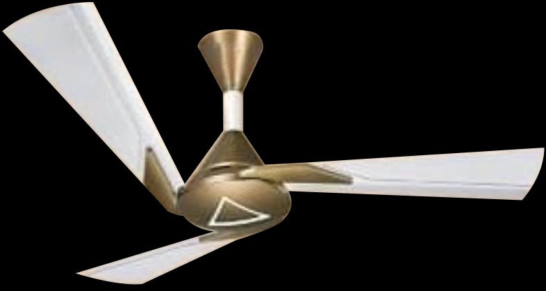 Oval Ceiling Fan