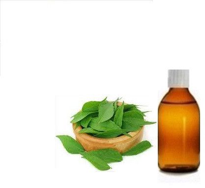 Curry Leaf Oil