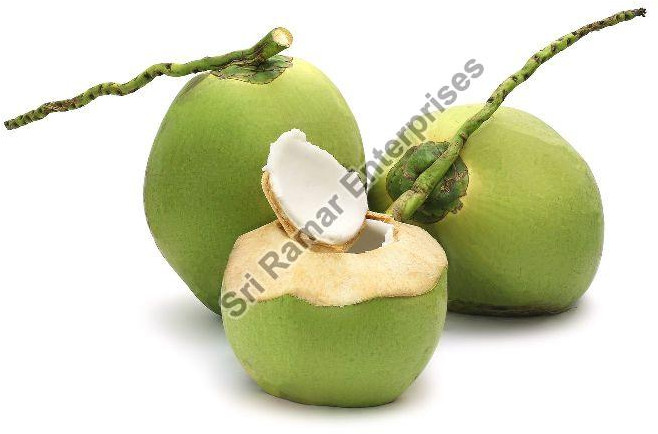 Tender Coconut