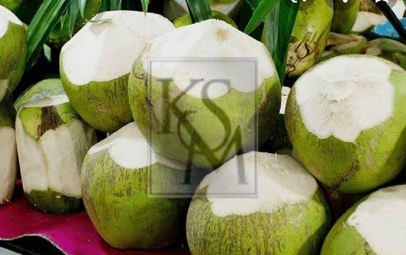 Tender Coconut