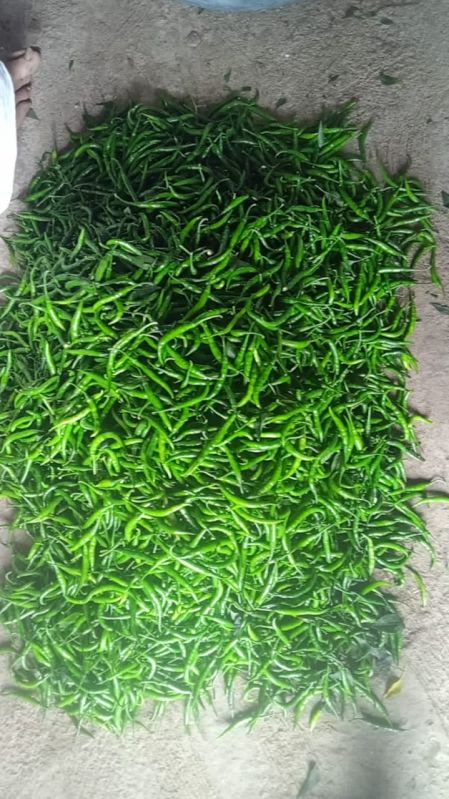 Green Chilli