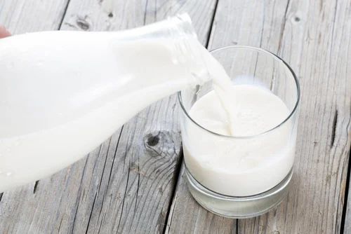 Healthy Cow Colostrum Milk