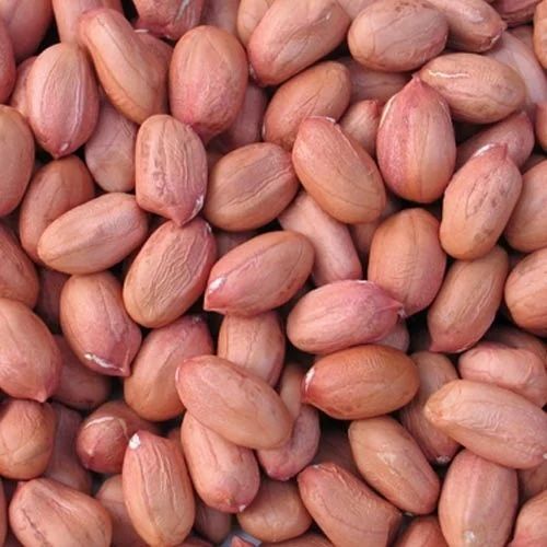 Organic Raw Groundnut