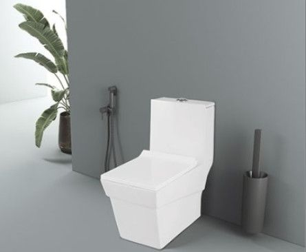 Antique 6D Syphonic One Piece  Closet