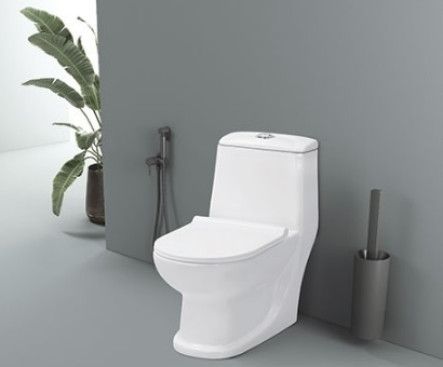 Cardin Washdown One Piece Closet