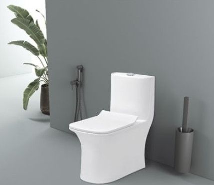 Crenza 6D Syphonic One Piece Closet