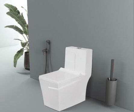 Crystal Rimless Washdown One Piece Closet