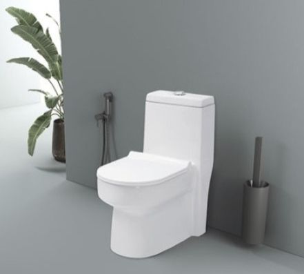 Dune Washdown One Piece Closet