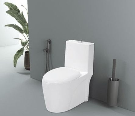 Numero Washdown One Piece Closet