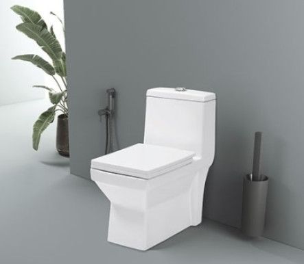 Ripon 6D Syphonic One Piece Closet