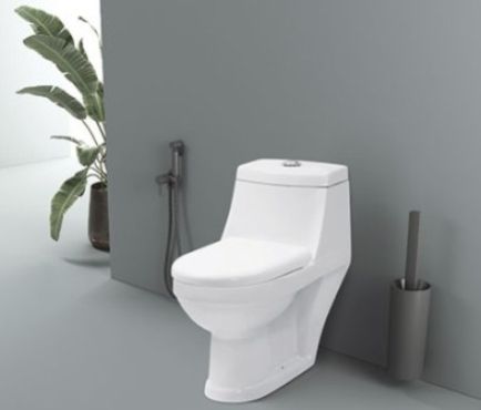 Scala Washdown One Piece Closet