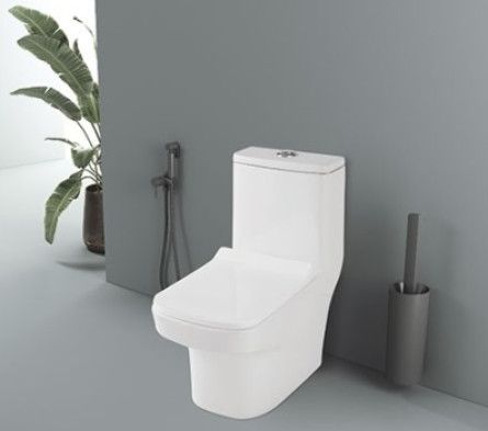 Specto 6D Syphonic One Piece Closet