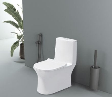 Svelta 6D Syphonic One Piece Closet