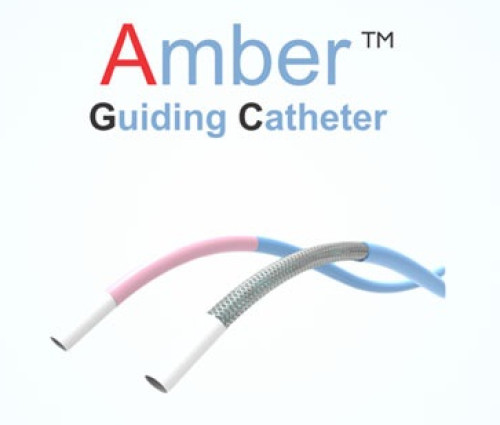 Amber- Guiding Catheter