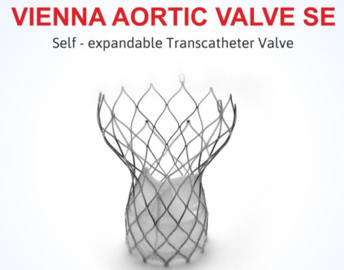 Vienna Aortic Valve Se - Transcatheter Aortic Valve