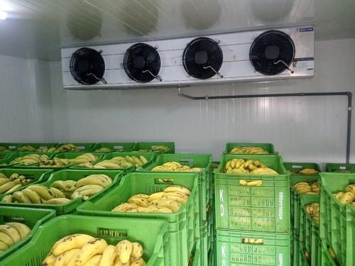 Banana Ripening Cold Rooms