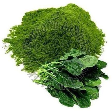 dehydrated spinach powder