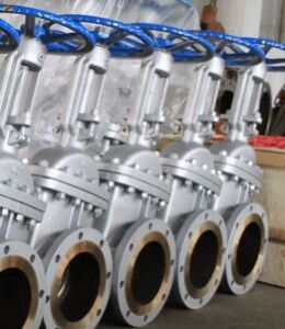 Alloy 20 Gate Valve