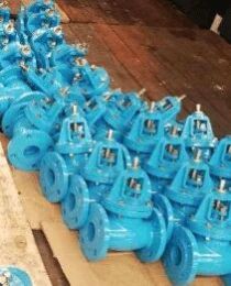 Ductile Iron Globe Valve