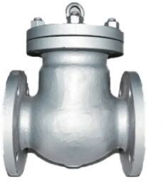 Duplex Swing Check Valve