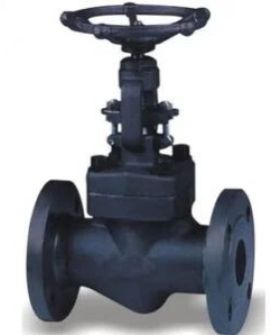 F321 Gate Valve