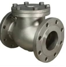 F347 Swing Check Valve