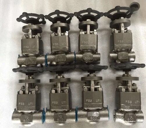 Super Duplex Globe Valve