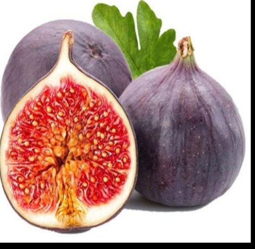 Fresh Fig