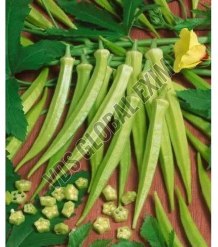 Fresh Arka Anamika Okra