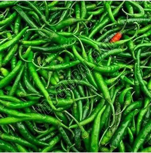 fresh g4 green chilli