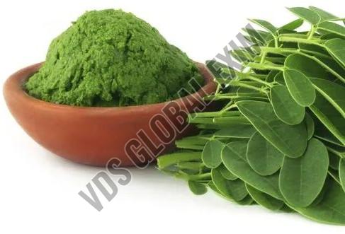 moringa leaves powder