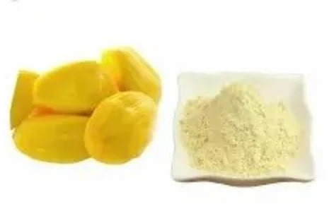 GVEI Spray Dried Jackfruit Powder