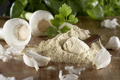 GVEI Spray Dried Garlic Powder