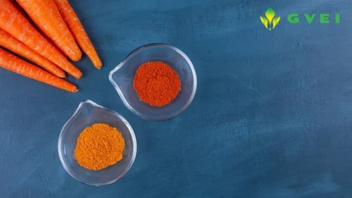 GVEI Dehydrated Carrot Powder