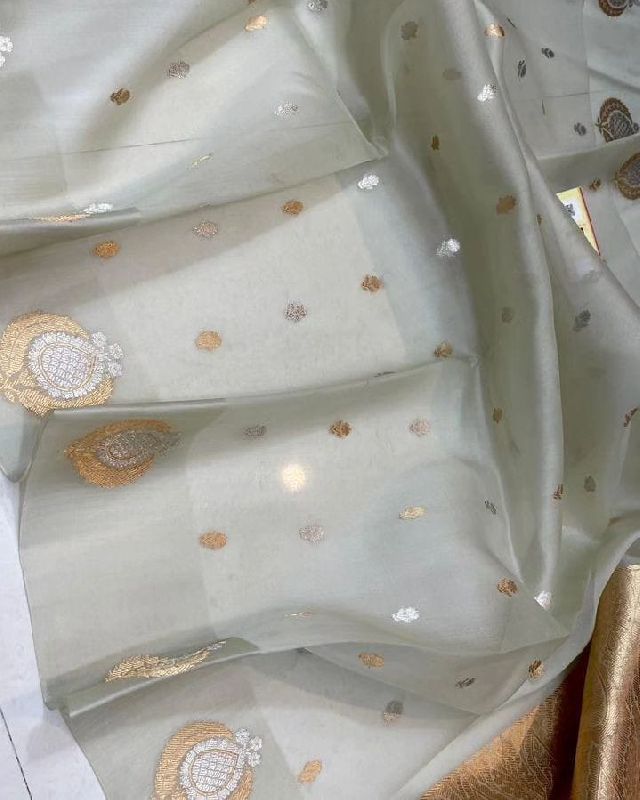 Indian Banarasi Organza Silk Saree