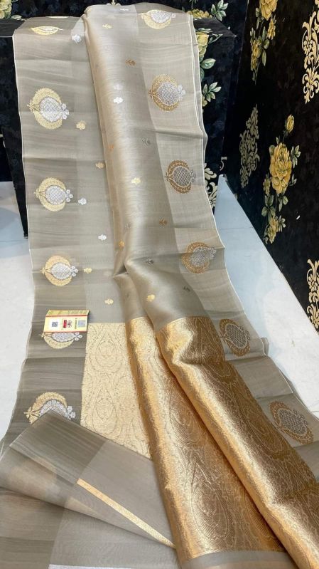 Indian Banarasi Organza Silk Saree