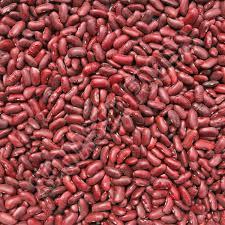 Organic Kidney Beans