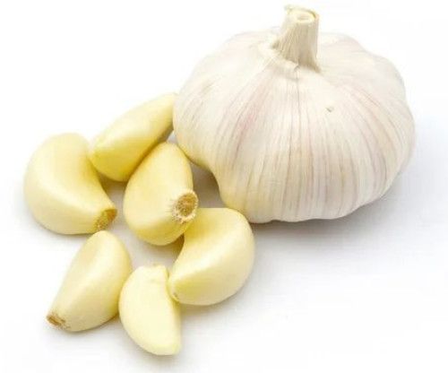 fresh garlic