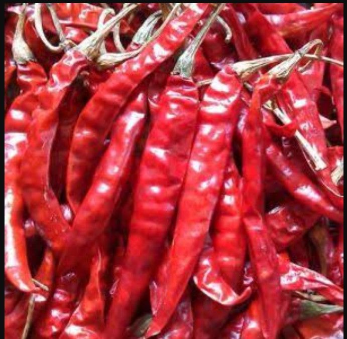 Dried Red Chili