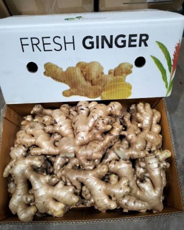 Ginger