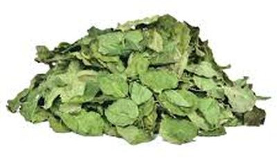 Dehydrated Moringa Leaves