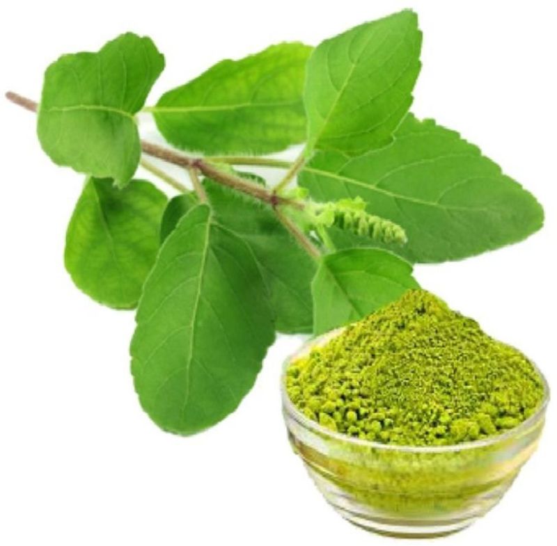 Dehydrated Tulsi Powder