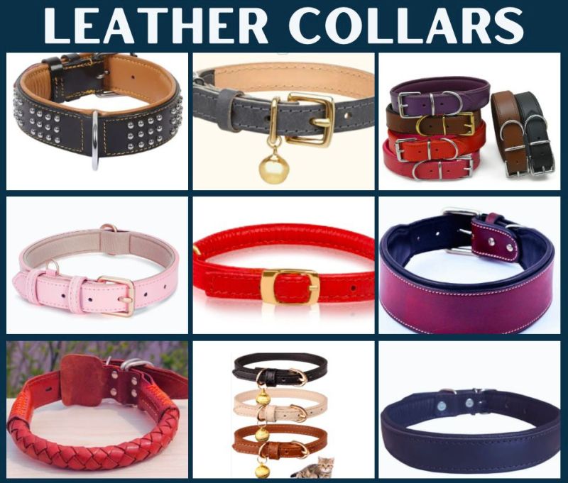 Leather Collars