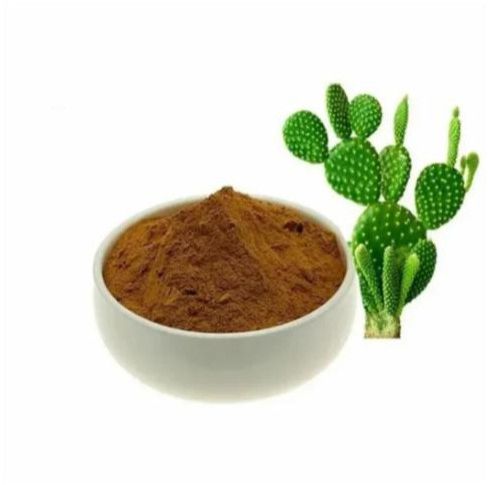 Caralluma Extract